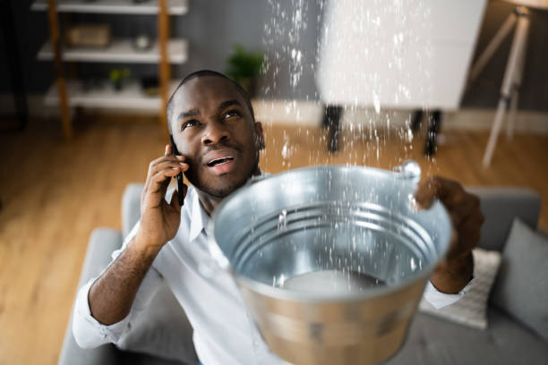 Best Mold removal after water damage  in Aspen Hill, MD