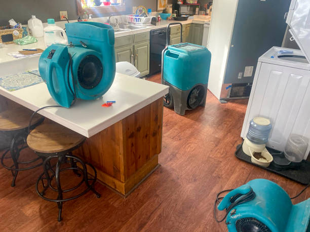 Best Local water damage restoration  in Aspen Hill, MD