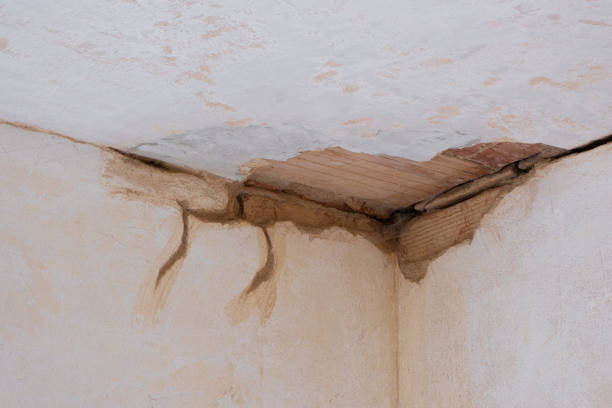 Best Water damage cleanup near me  in Aspen Hill, MD