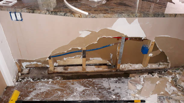 Best Flood damage cleanup  in Aspen Hill, MD