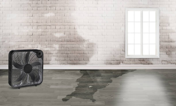 Best Water damage restoration insurance claims  in Aspen Hill, MD