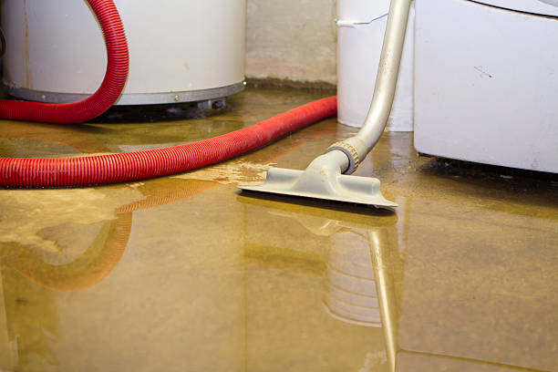 Best Water damage mitigation services  in Aspen Hill, MD