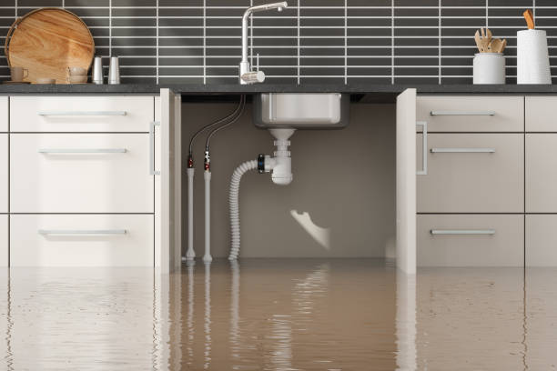 Best Fire Damage Restoration  in Aspen Hill, MD