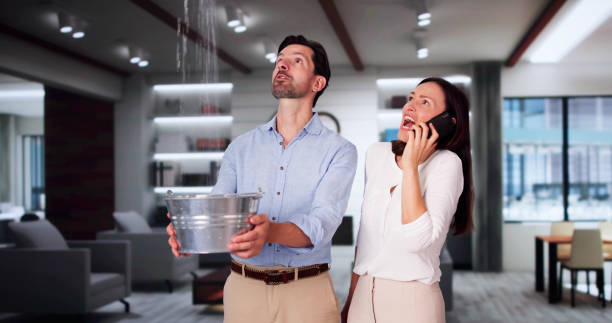 Best Flood damage cleanup  in Aspen Hill, MD