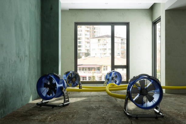 Best 24-hour water damage restoration  in Aspen Hill, MD