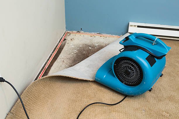 Best Carpet water damage restoration  in Aspen Hill, MD